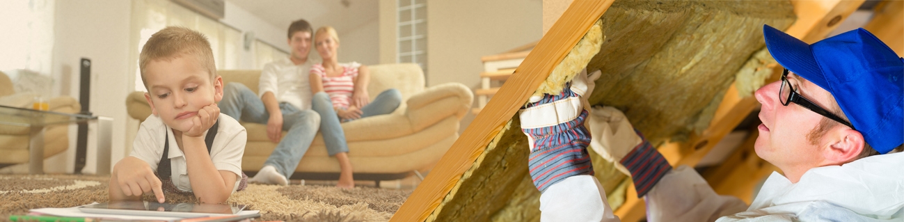 Dirty Crawl Spaces Management