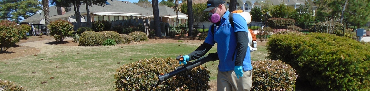 mosquito treatment