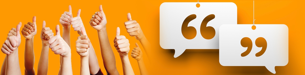 Best Pest control reviews virginia beach chesapeake