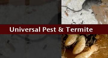 pest control service Universal Pest & Termite Virginia Beach
