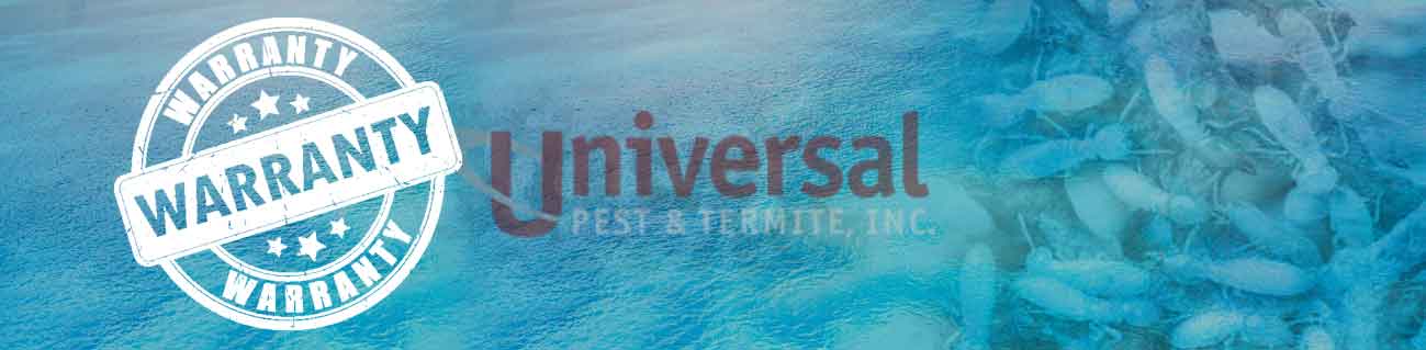 termite warranty virginia beach