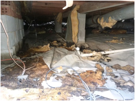 Crawl Space Encapsulation
