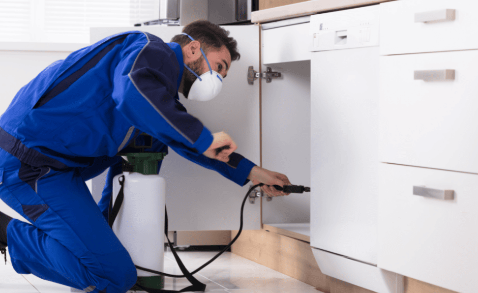 pest control virginia