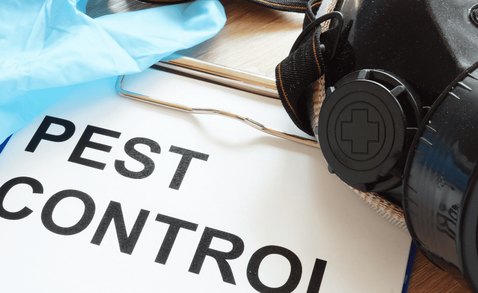 pest control virginia beach