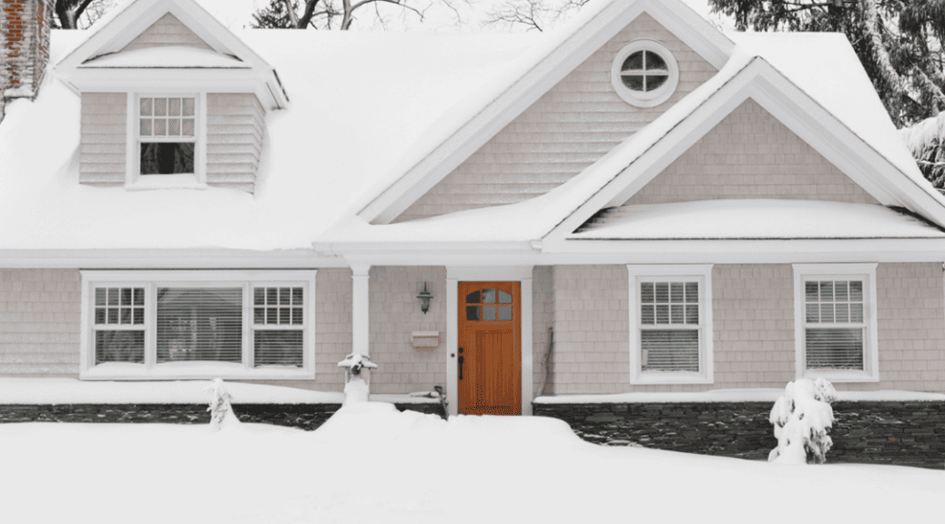 Pest Control Tips For Winters