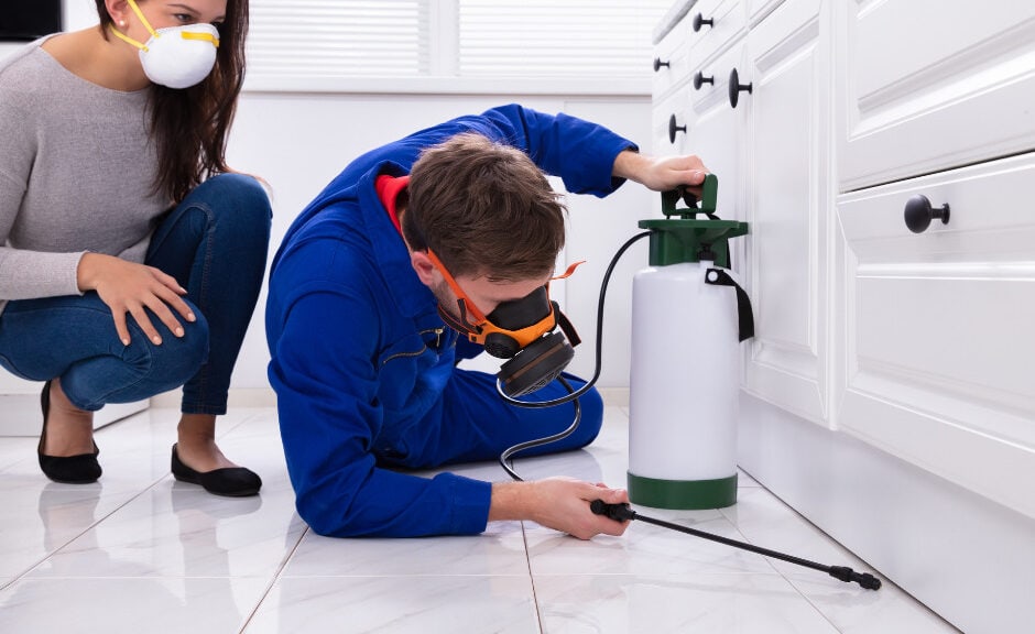 Pest Control Tips 101