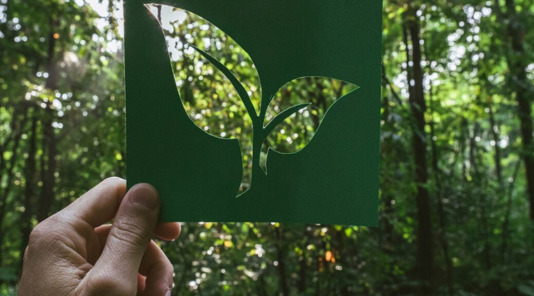 natural pest control remedies