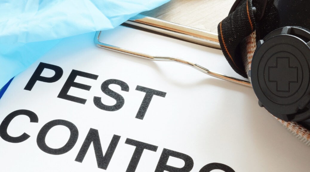 pest control virginia beach