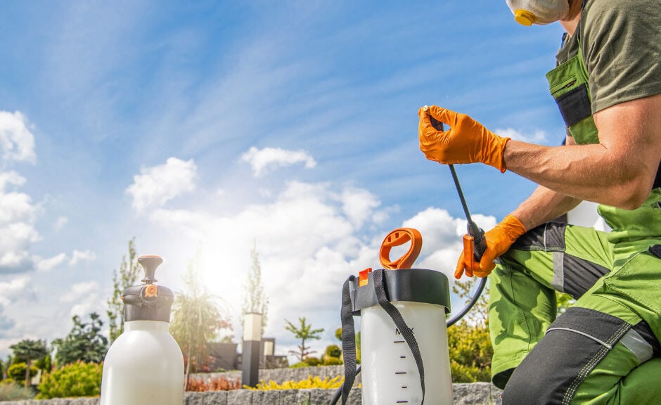 pest control virginia beach spray