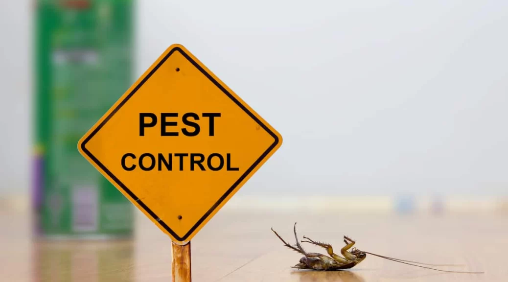 Prevent Pests From Entering My Home