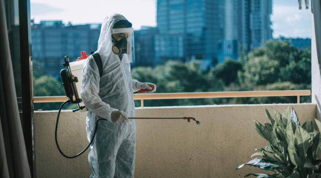 Pest Control in Commercial Buildings: Best Practices and Challenges